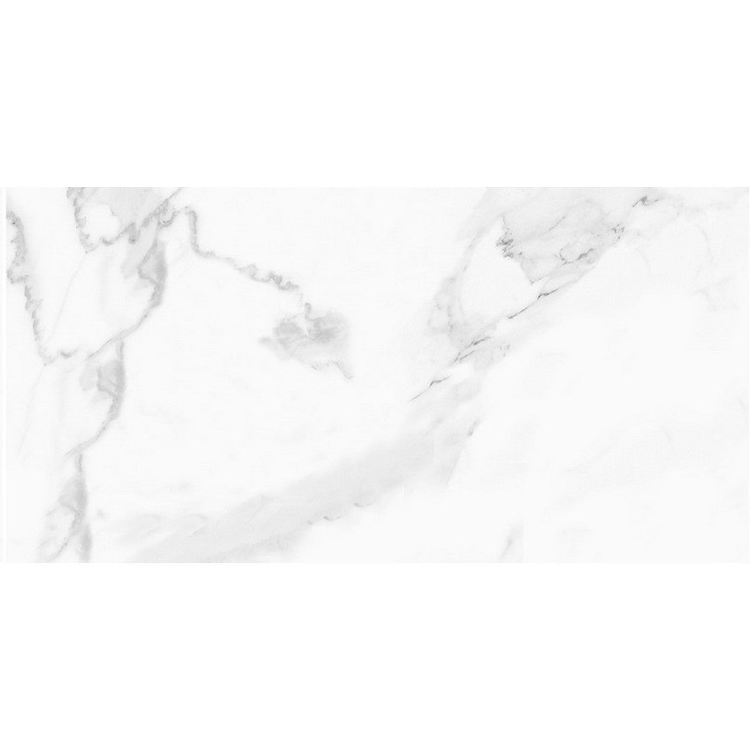 Tesoro Vintage 12" x 24" Rectified Matte Porcelain Tile