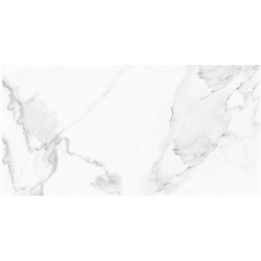 Tesoro Vintage 24" x 48" Rectified Matte Porcelain Tile