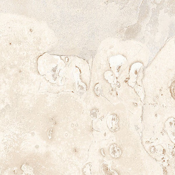 Edimax Astor Slaty 12" x 12" Natural Porcelain Tile