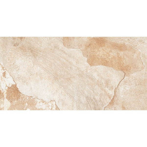 Edimax Astor Slaty 12" x 24" Natural Porcelain Tile