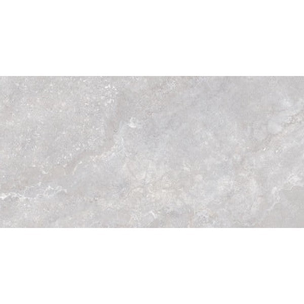 Edimax Astor Stream 24" x 48" Natural Porcelain Tile