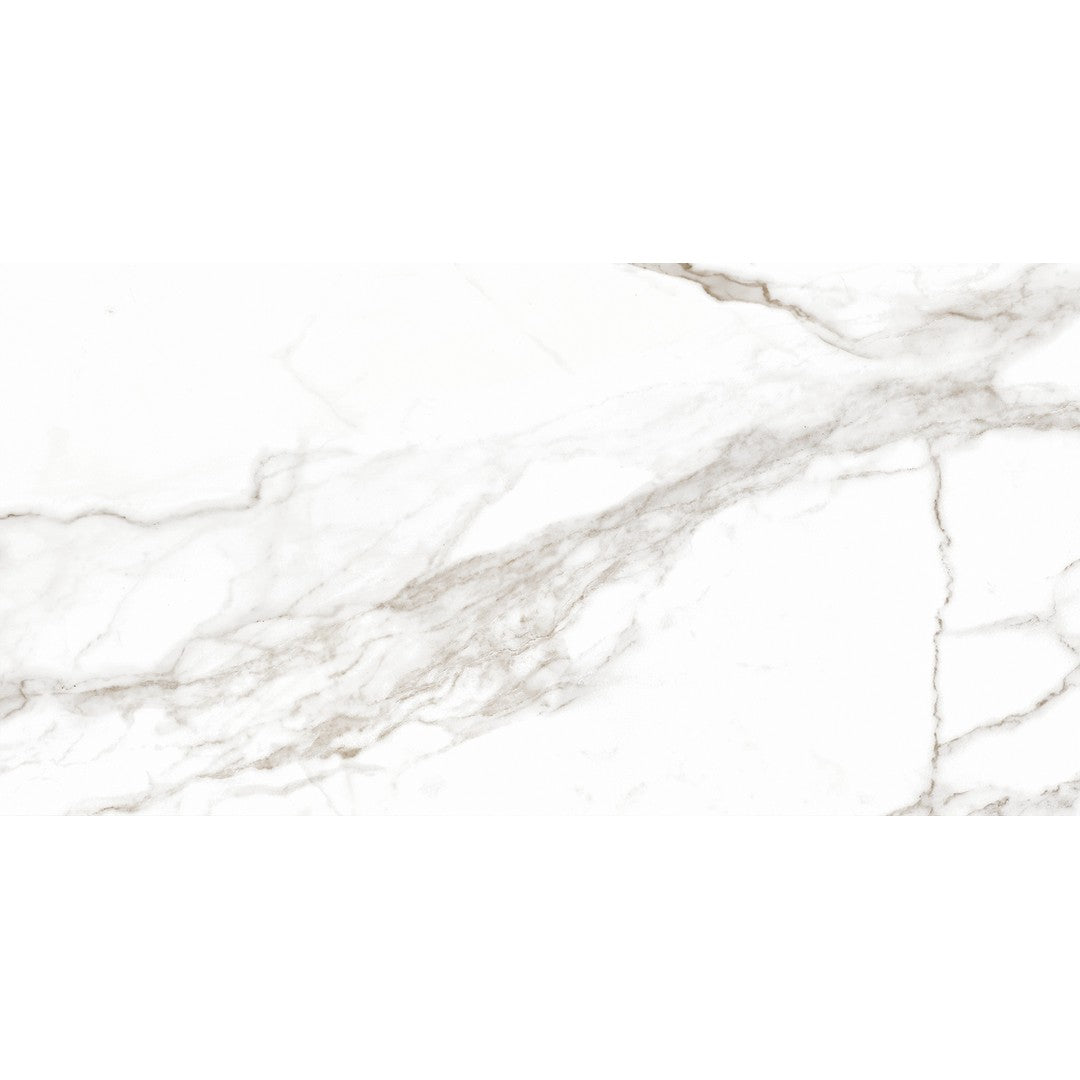 Tesoro Lucca 12" x 24" Rectified Matte Porcelain Tile