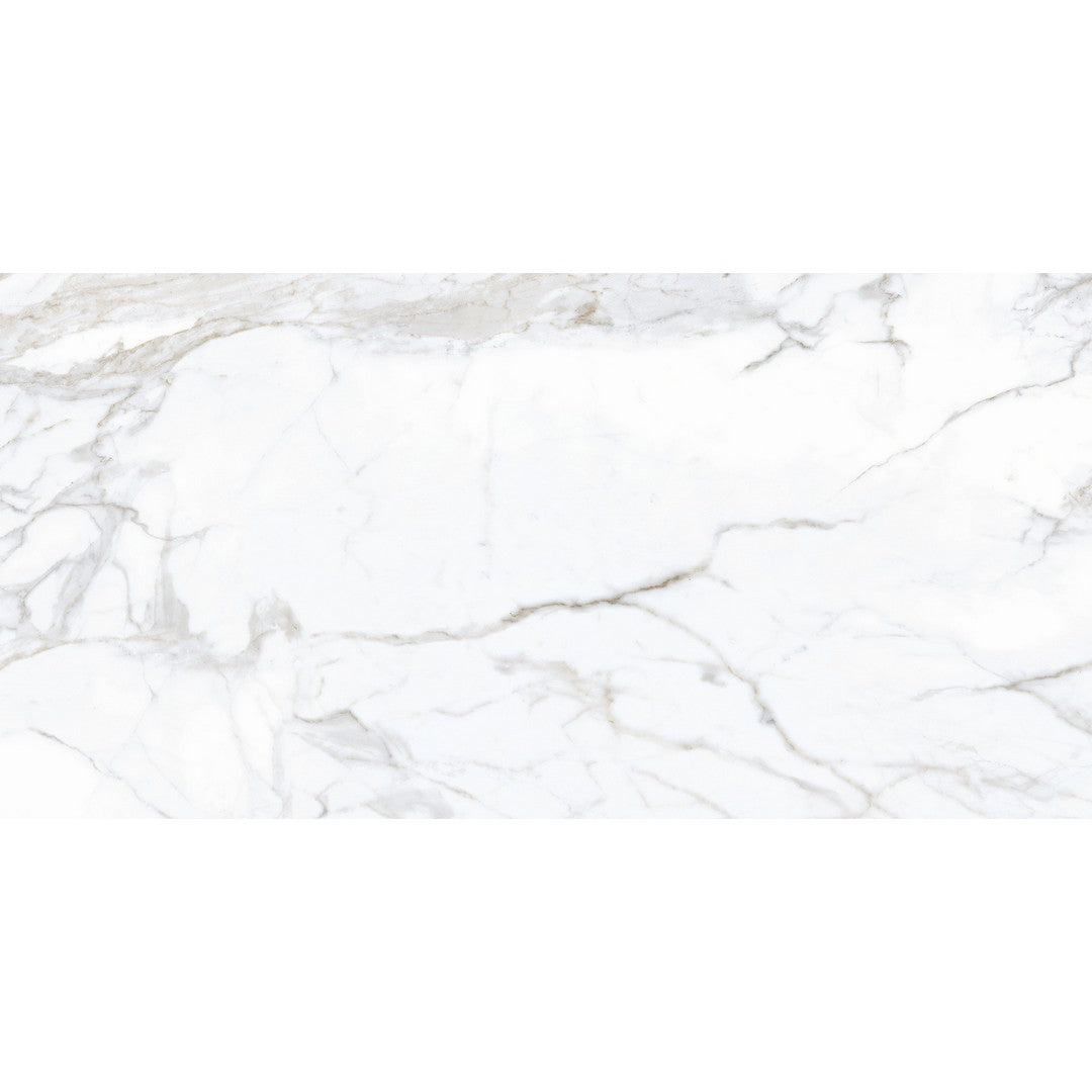 Tesoro Lucca 24" x 48" Rectified Polished Porcelain Tile