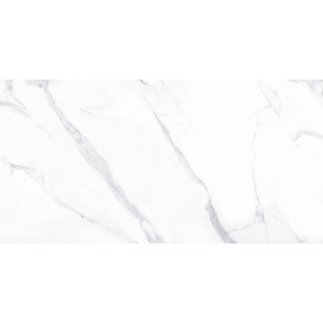 Tesoro Lucca 24" x 48" Rectified Matte Porcelain Tile