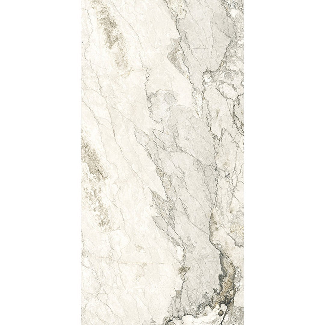 Happy Floors Breccia Lunare 24" x 48" Rectified Polished Porcelain Tile