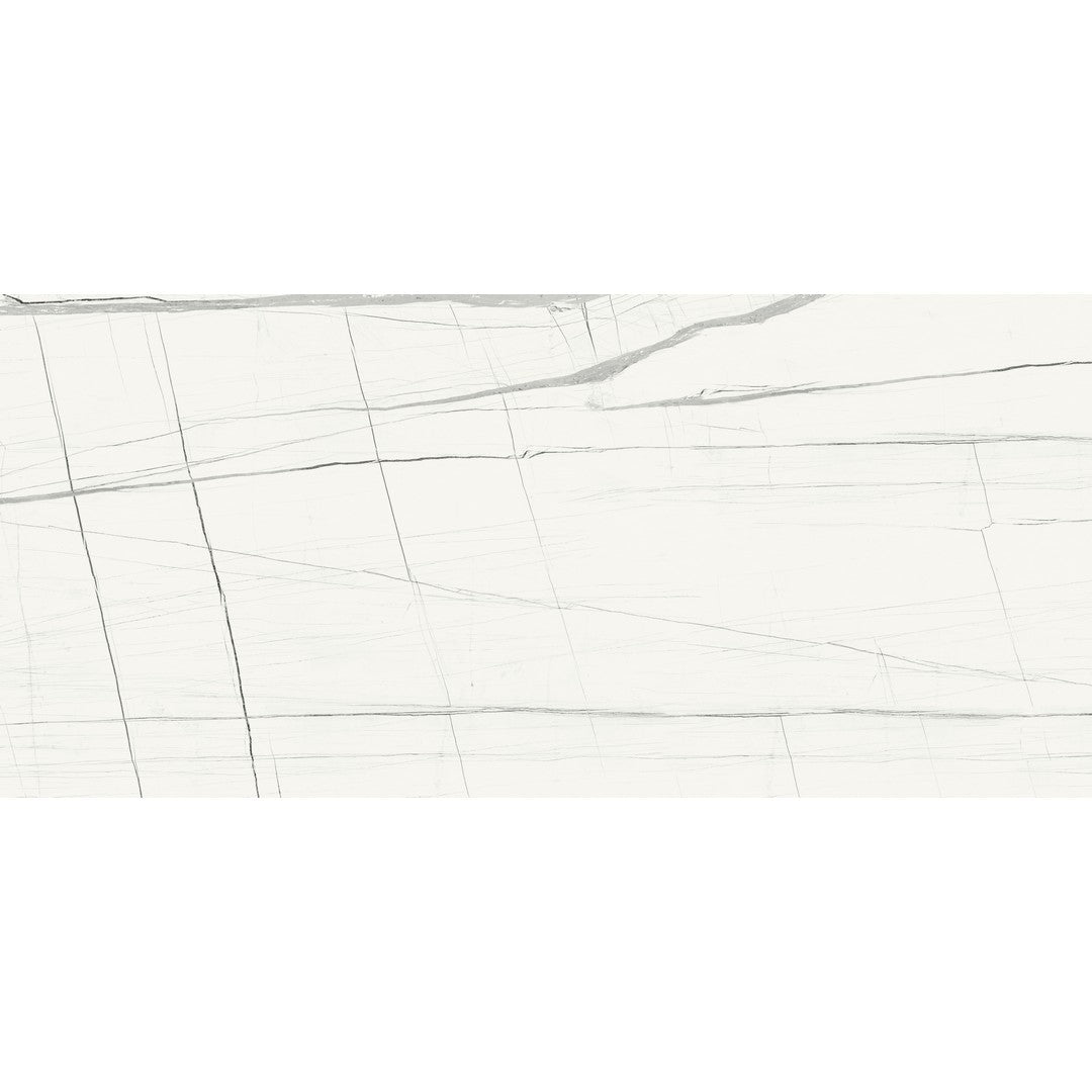 Euroker-Titanium-24-x-48-Polished-Porcelain-Tile-Black