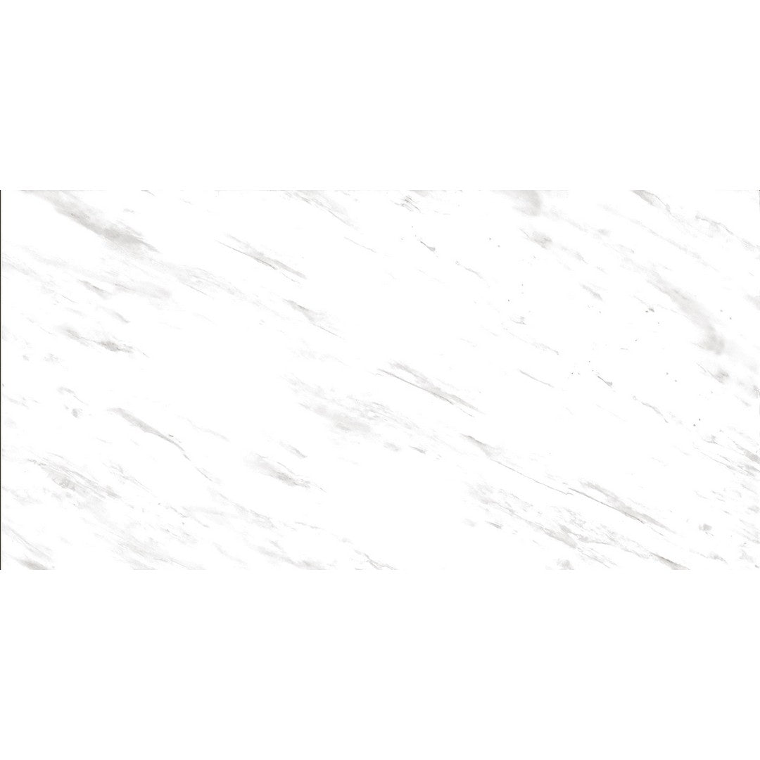 Emser Serendra 24" x 47" Rectified Polished Porcelain Tile