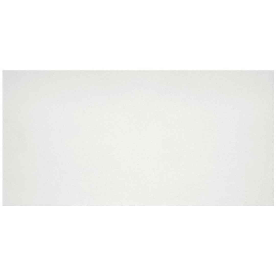 Emser Citizen 24" x 48" Rectified Matte Porcelain Tile