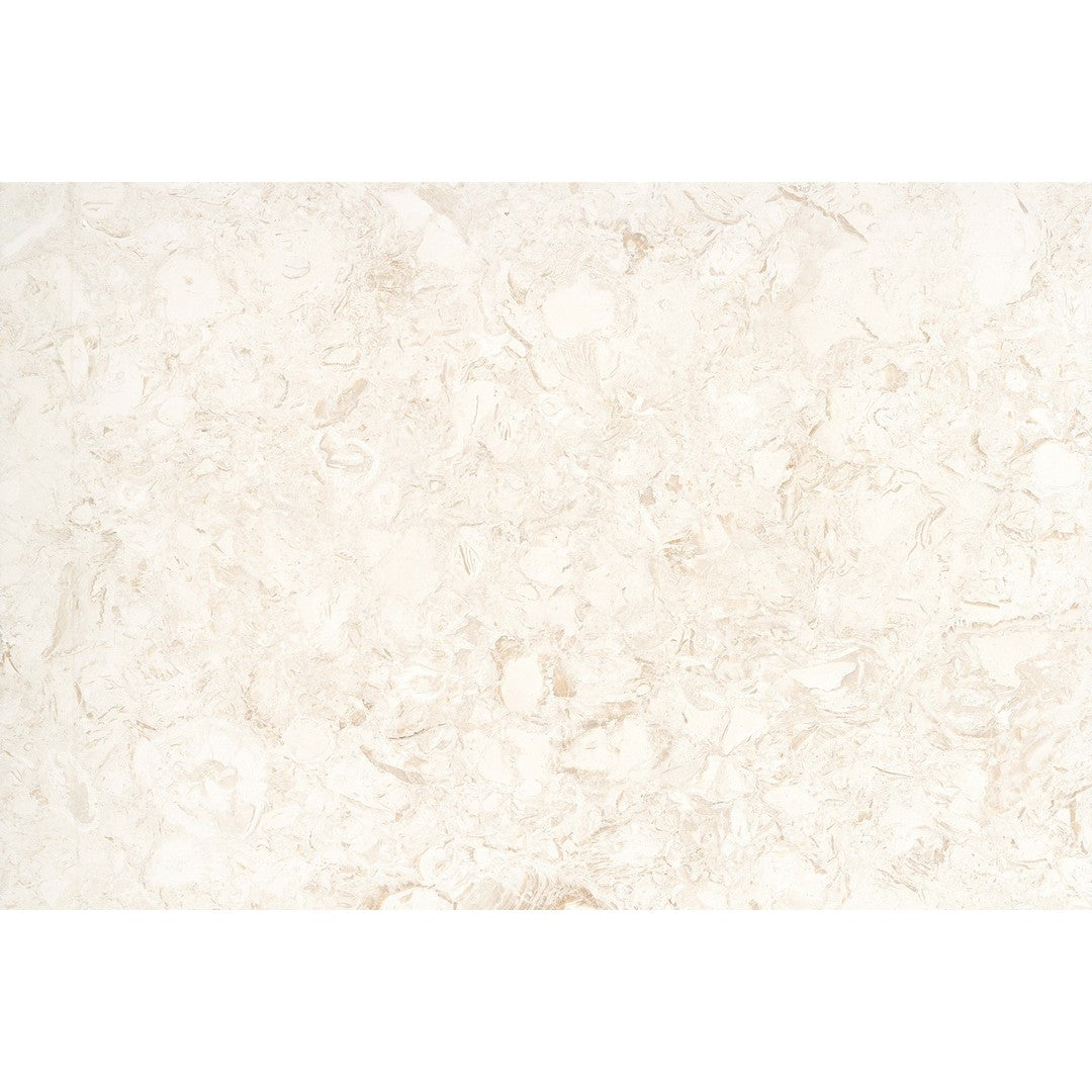 Emser Extero 16" x 24" Brushed Limestone 5CM Coping