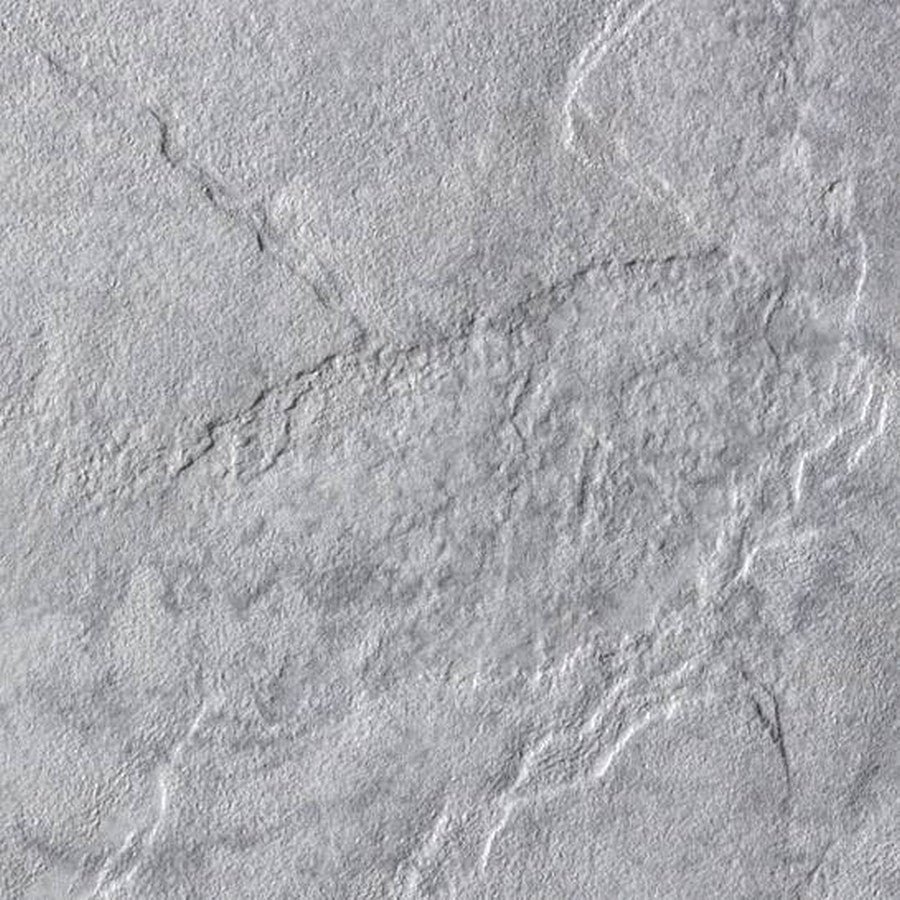 Happy Floors Eternity 6" x 6" Pressed Natural Porcelain Tile