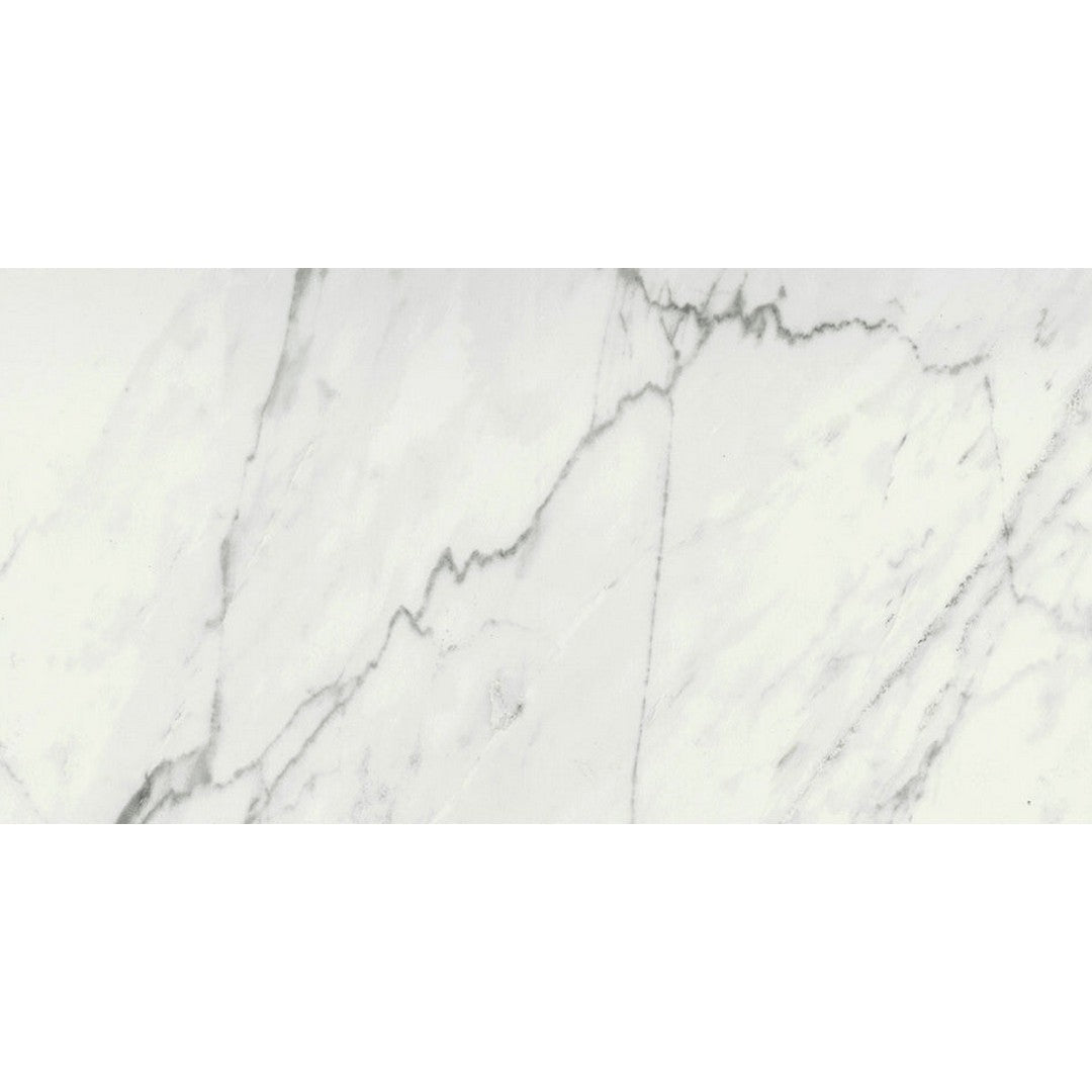 Emser Vara 12" x 24" Rectified Matte Porcelain Tile