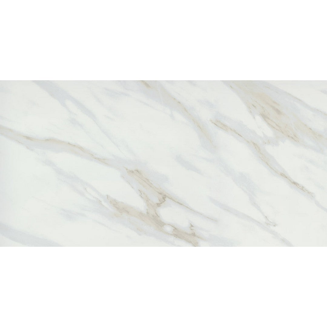 Emser Vara 24" x 47" Rectified Polished Porcelain Tile