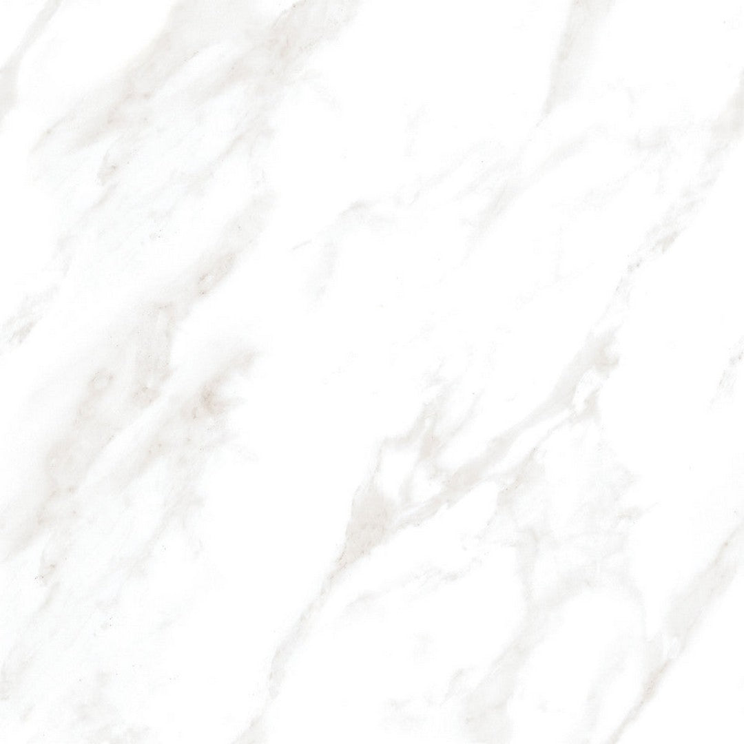 Emser Vara 24" x 24" Rectified Polished Porcelain Tile