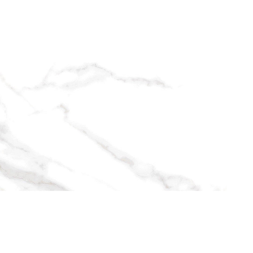 Emser Serendra 24" x 47" Rectified Polished Porcelain Tile