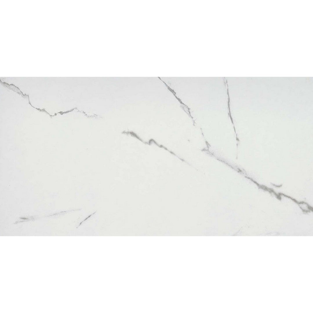 Emser Serendra 12" x 24" Rectified Polished Porcelain Tile