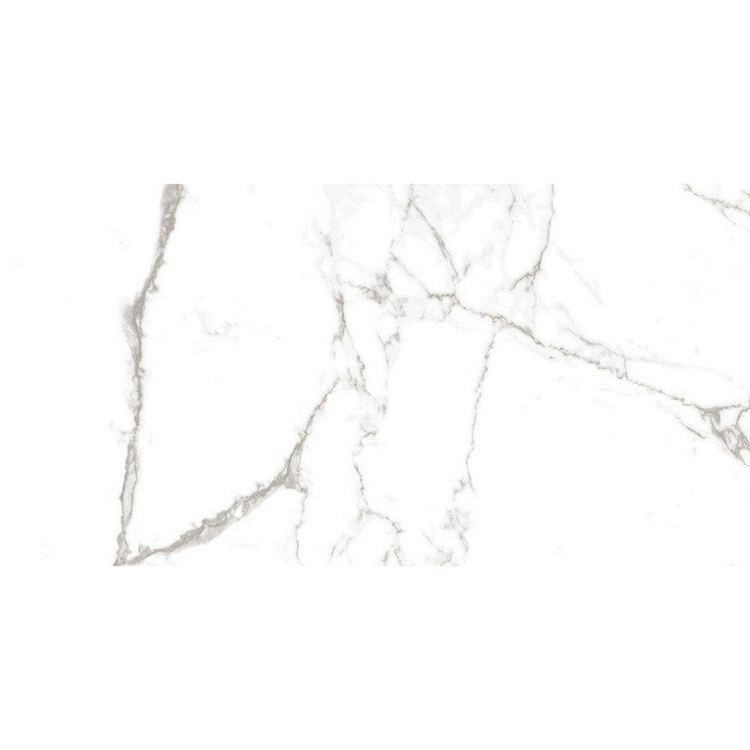 Emser Serendra 24" x 47" Rectified Matte Porcelain Tile