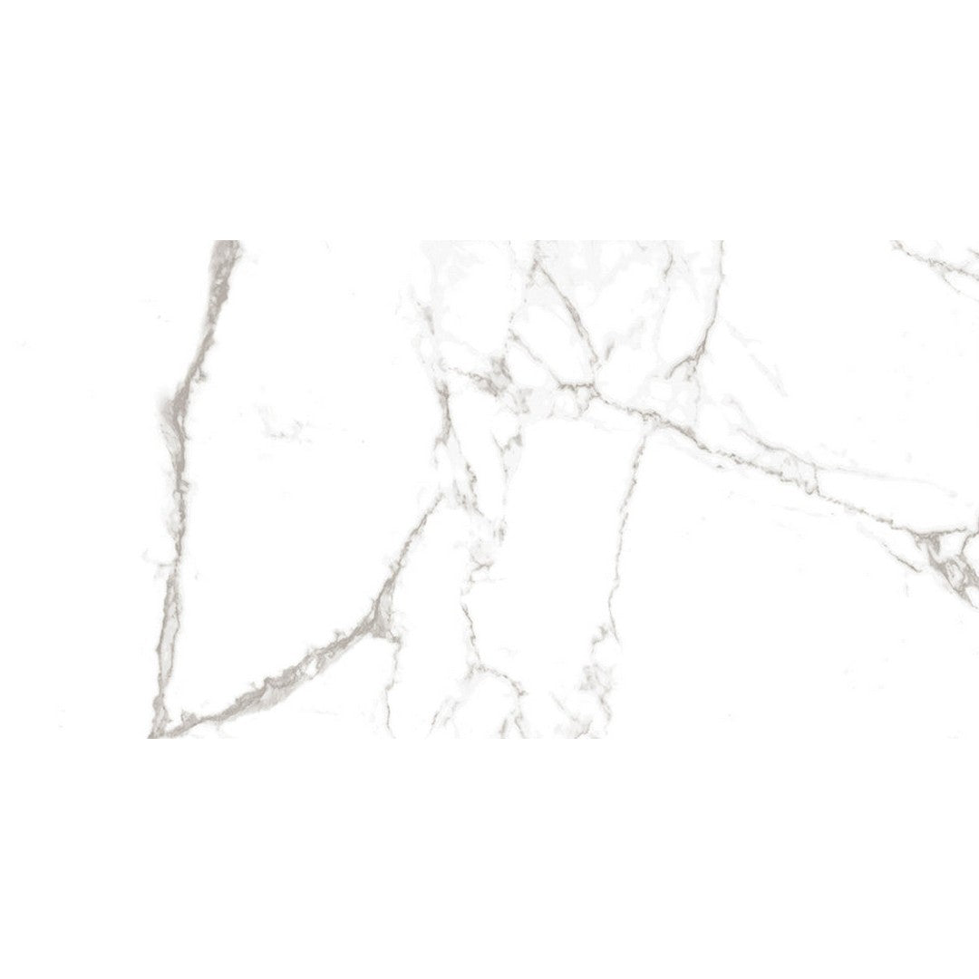 Emser Serendra 24" x 47" Rectified Polished Porcelain Tile