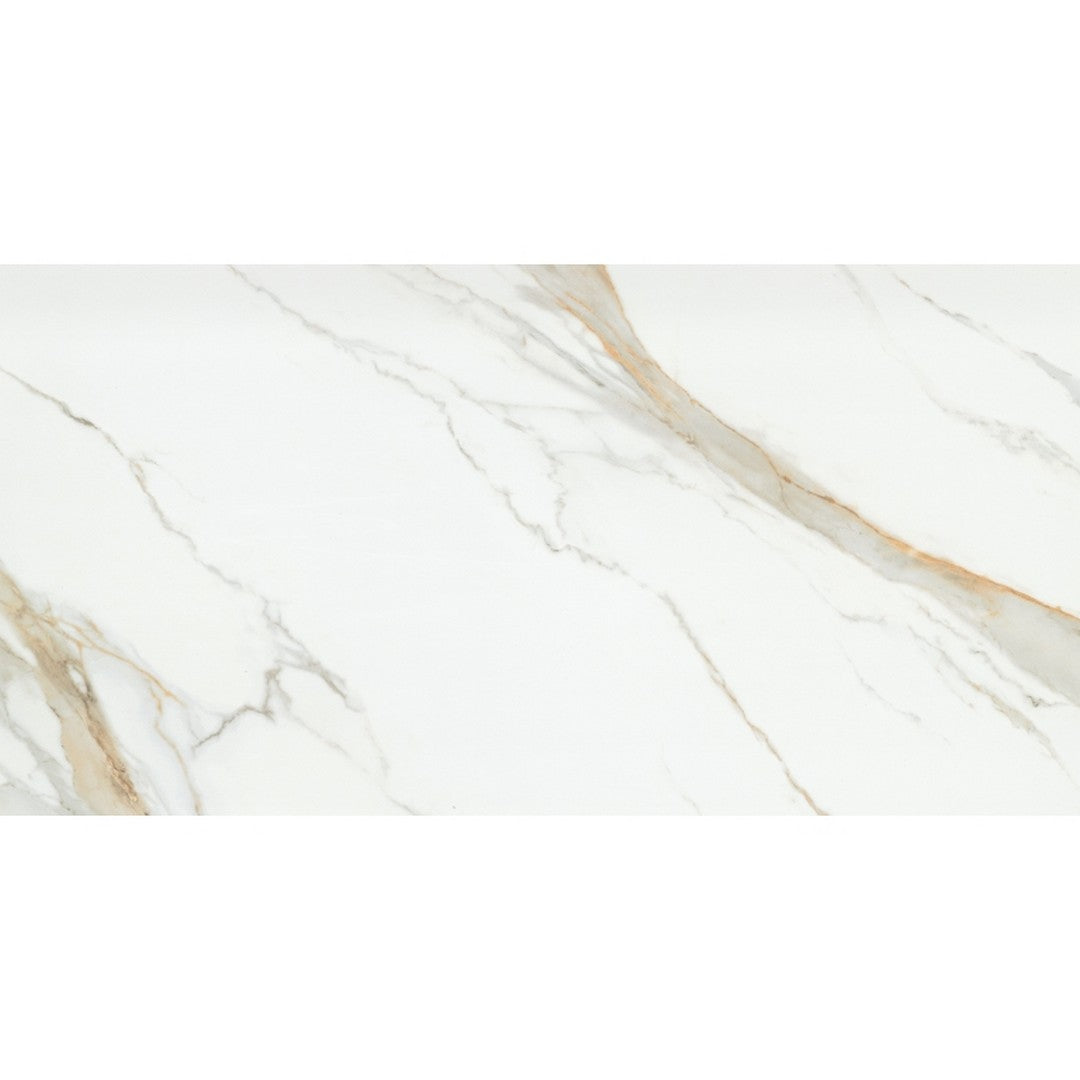 Emser Duchessa 24" x 47" Rectified Matte Porcelain Tile