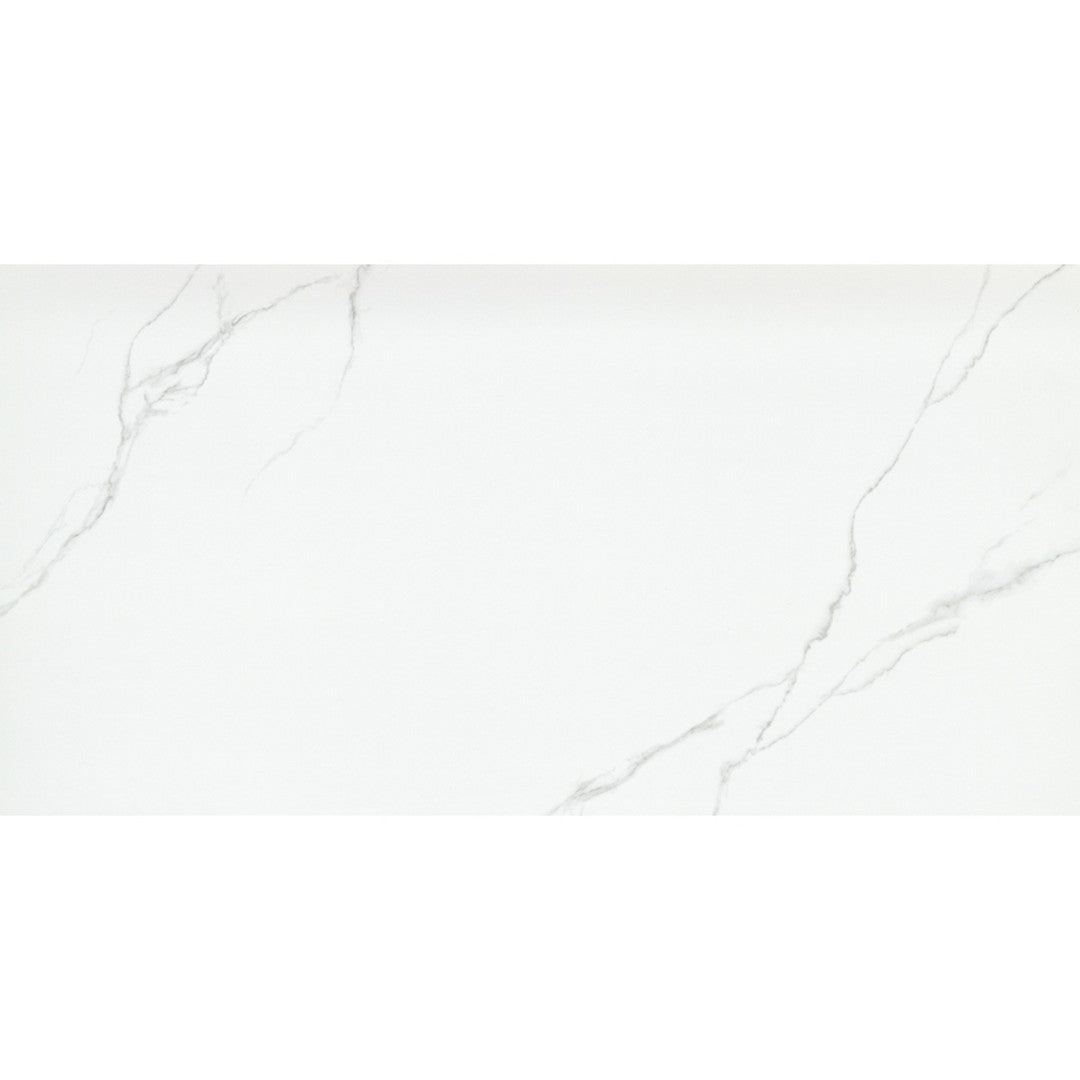 Emser Duchessa 24" x 47" Rectified Matte Porcelain Tile