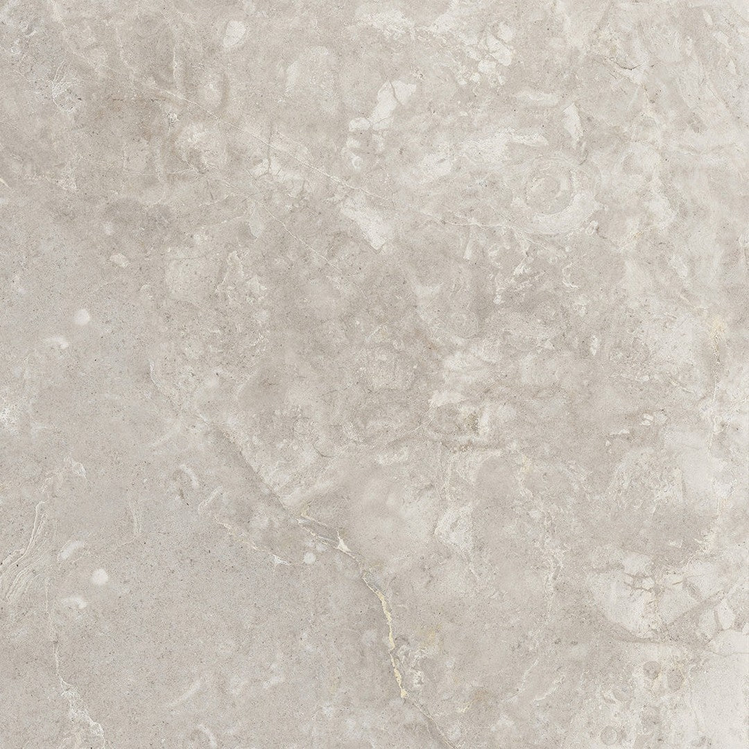 Emser Culver 20" x 20" Pressed Matte Porcelain Tile