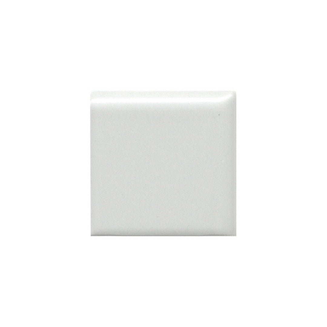 Emser Catch 2" x 2" Pressed Matte Ceramic Bullnose Corner