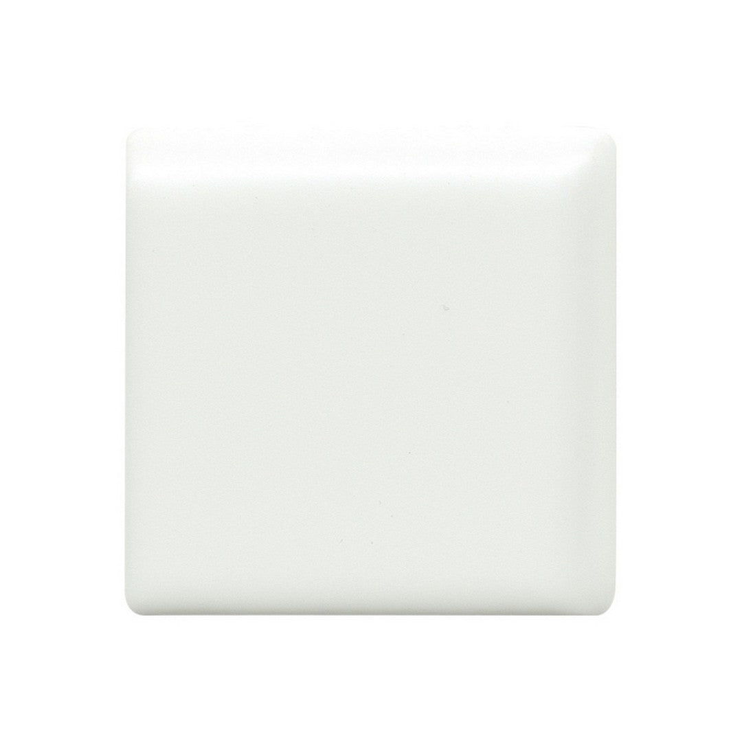 Emser Catch 2" x 2" Pressed Matte Ceramic Bullnose Corner