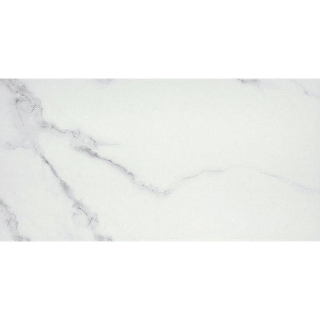Emser Contessa 12" x 23" Rectified Polished Porcelain Tile