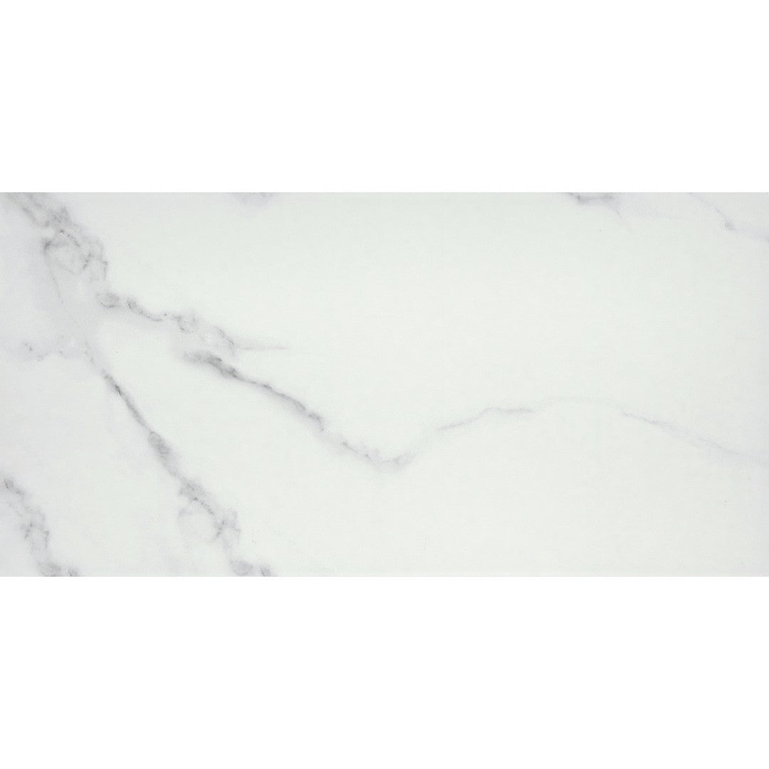 Emser Contessa 12" x 24" Pressed Matte Porcelain Tile