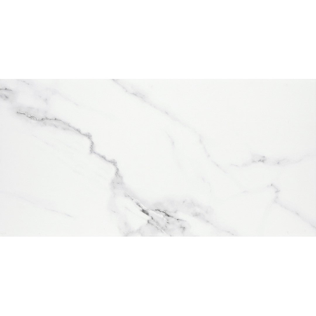 Emser Contessa 24" x 47" Rectified Matte Porcelain Tile