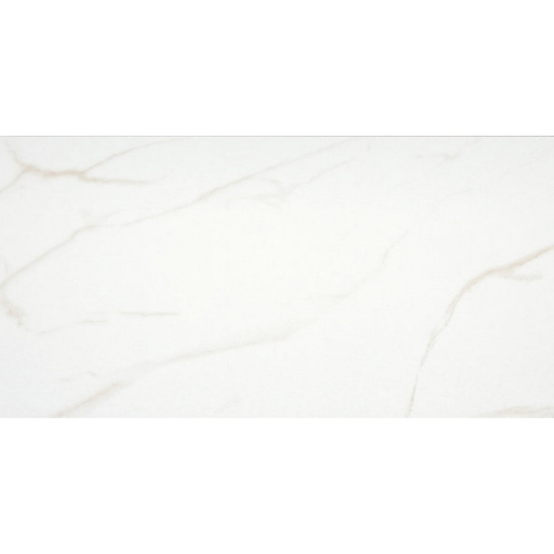 Emser Contessa 12" x 24" Pressed Matte Porcelain Tile