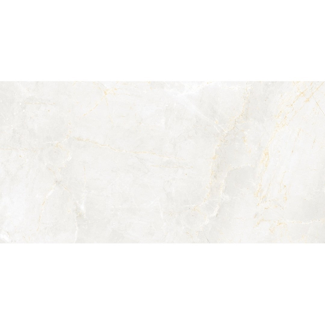 Emser Savino 24" x 47" Rectified Matte Porcelain Tile
