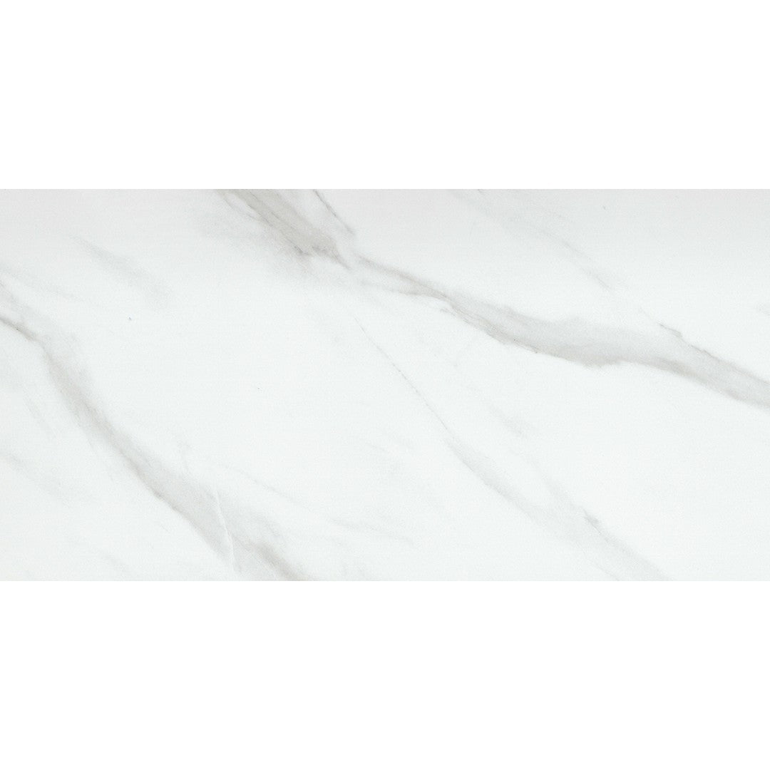 Emser Nobleza 24" x 47" Rectified Polished Porcelain Tile