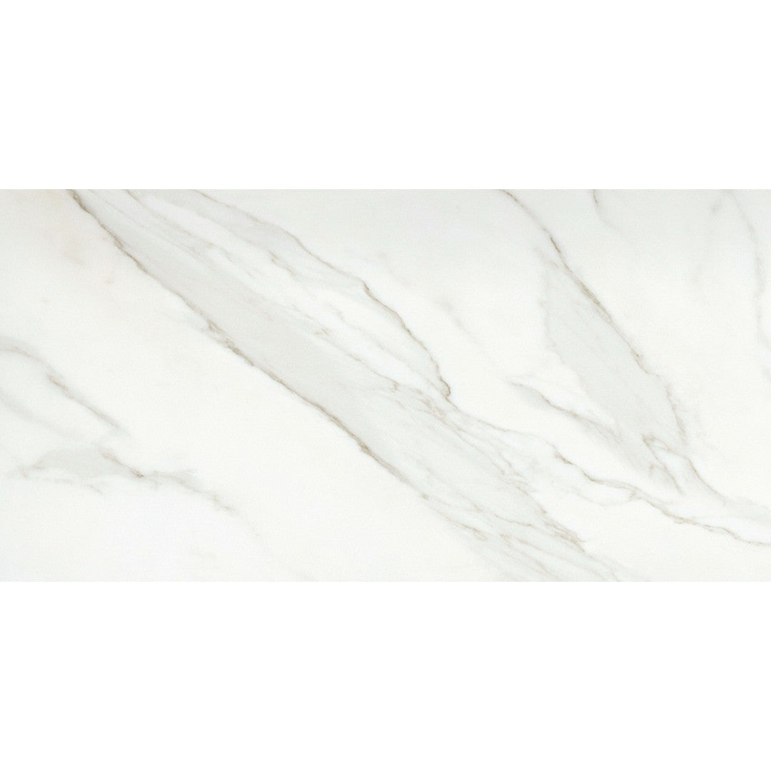 Emser Nobleza 24" x 47" Rectified Polished Porcelain Tile