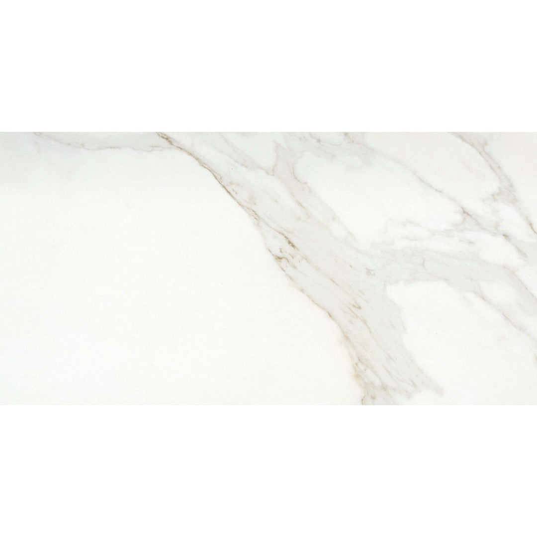 Emser Nobleza 24" x 47" Rectified Matte Porcelain Tile