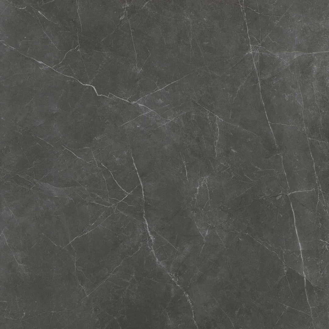 Emser Sterlina II - 24" x 24" Rectified Polished Porcelain Tile