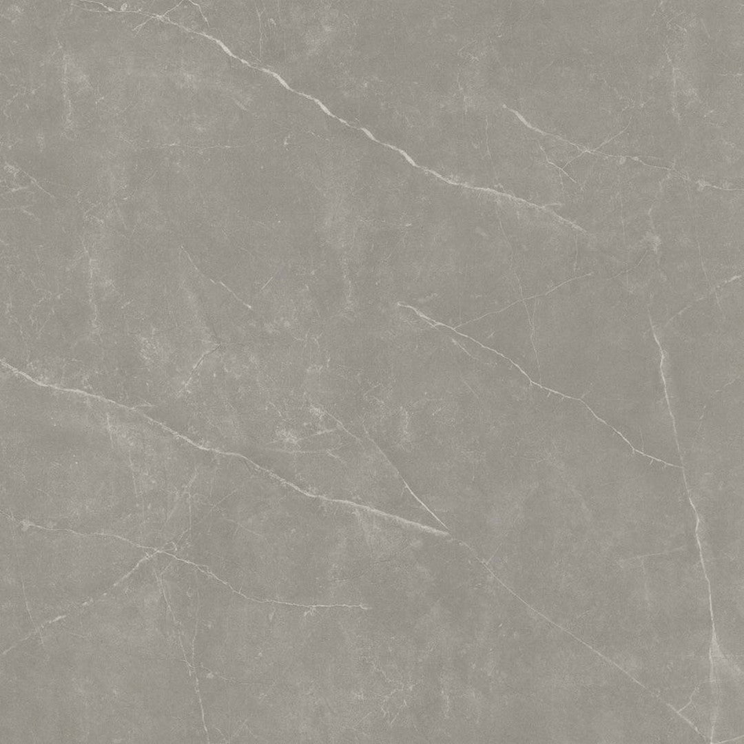 Emser Sterlina II - 24" x 24" Rectified Polished Porcelain Tile