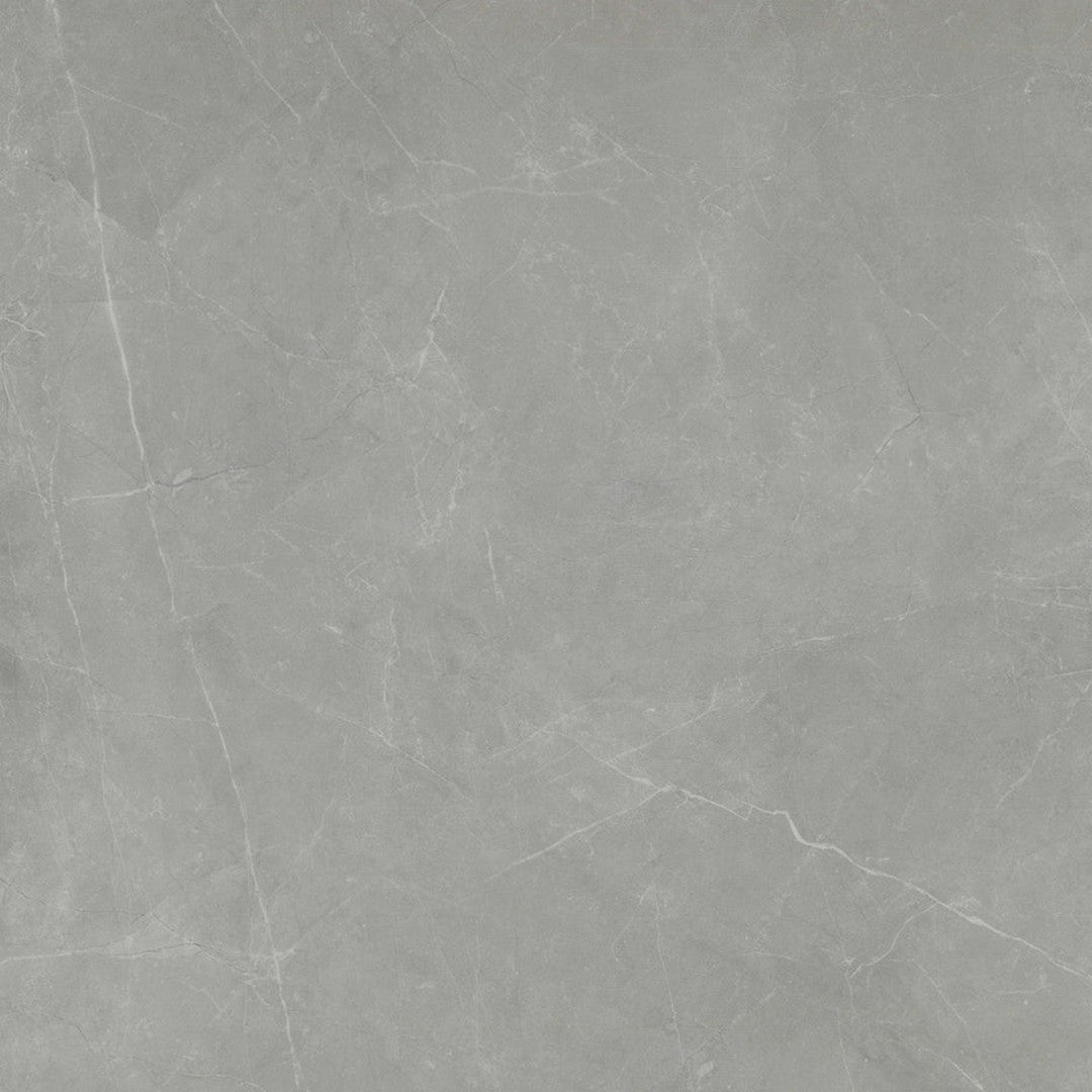 Emser Sterlina II - 24" x 24" Rectified Polished Porcelain Tile