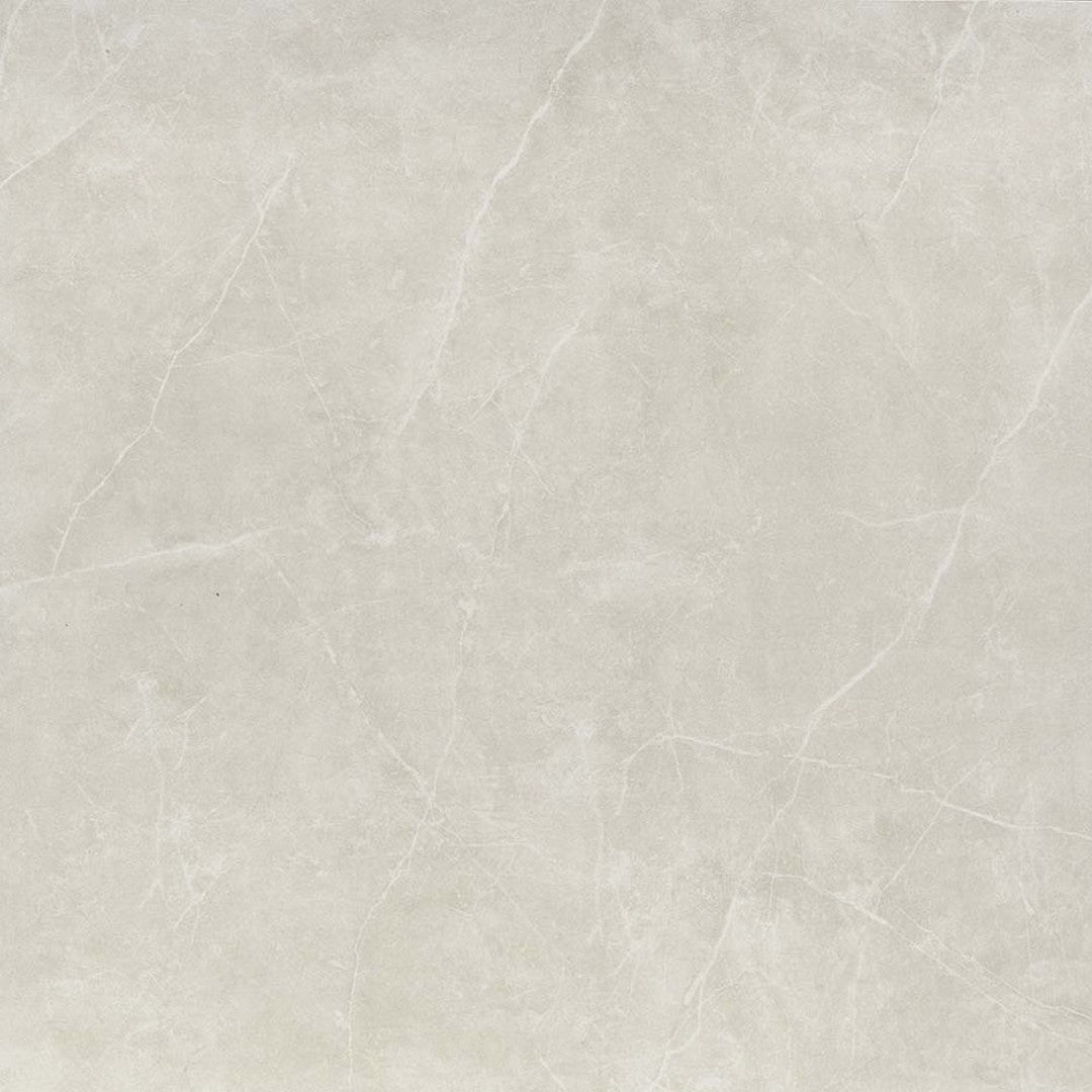 Emser Sterlina II - 24" x 24" Rectified Polished Porcelain Tile