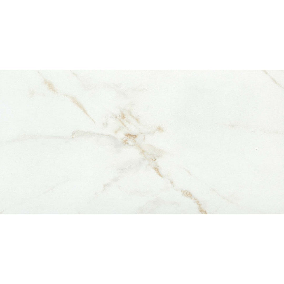 Emser Visconde 12" x 24" Rectified Polished Porcelain Tile