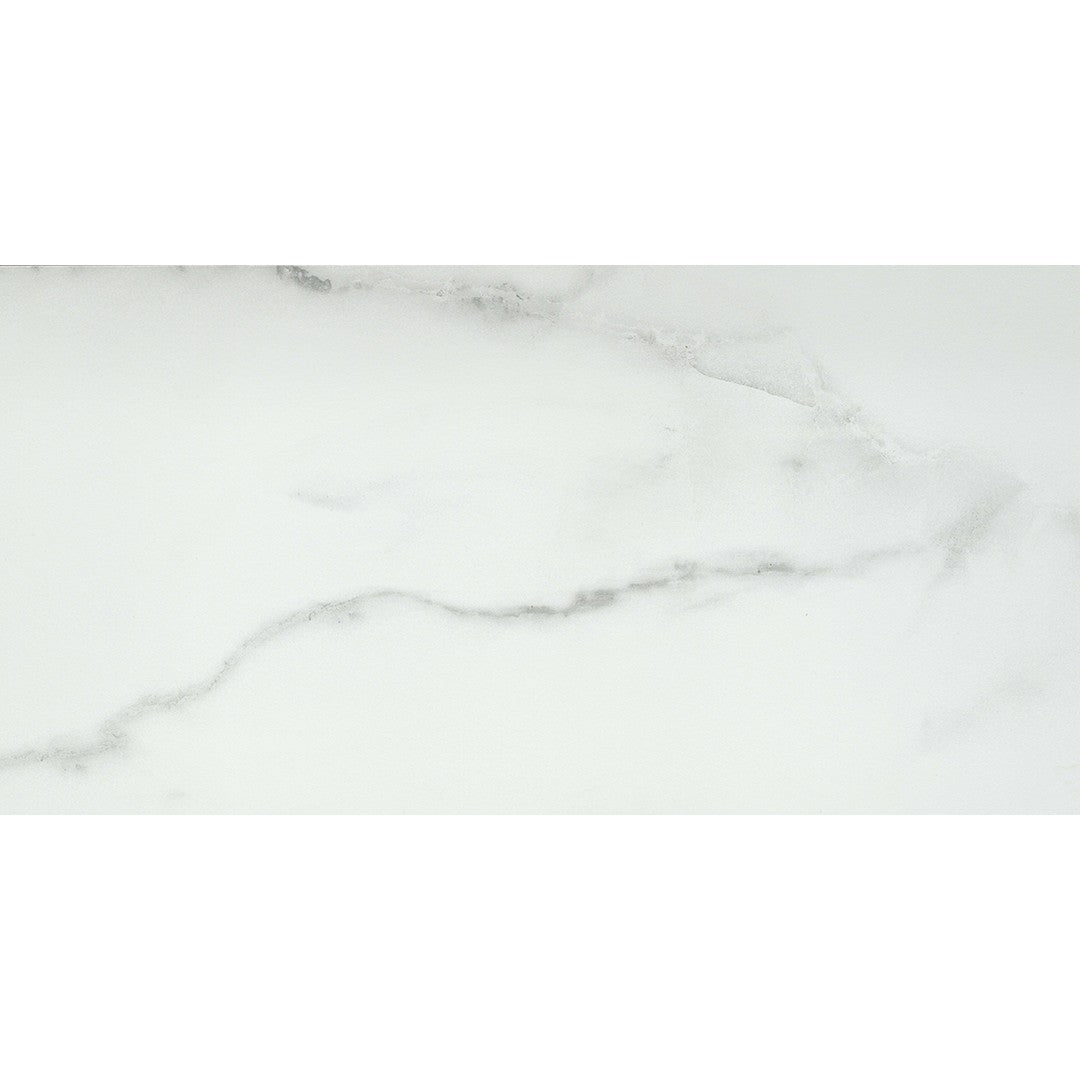 Emser Visconde 12" x 24" Rectified Polished Porcelain Tile