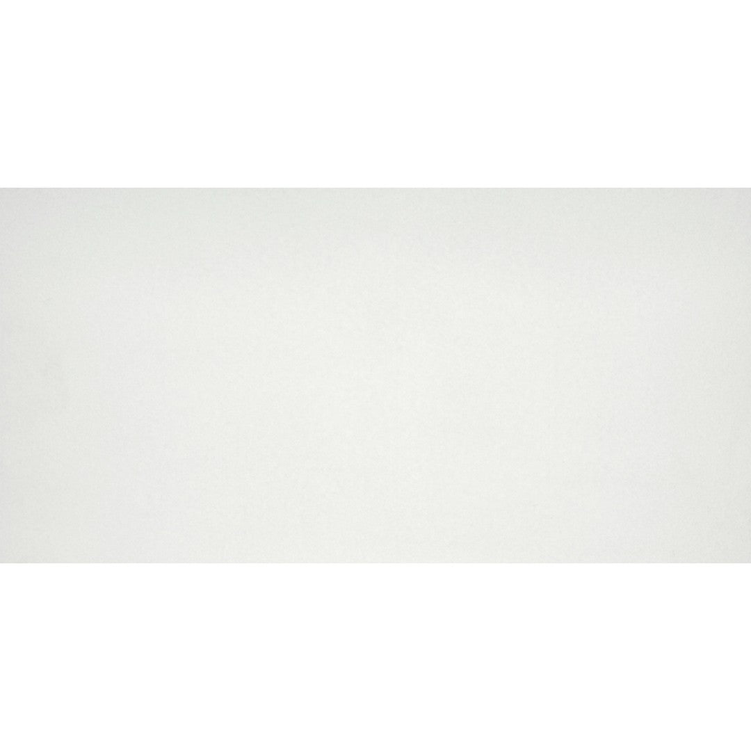 Emser Citizen 12" x 24" Rectified Matte Porcelain Tile