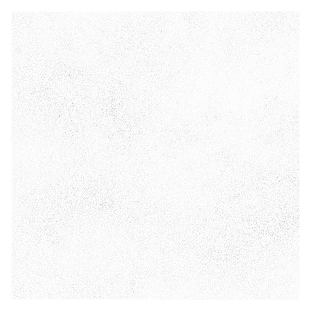 Emser Citizen 24" x 24" Rectified Matte Porcelain Tile