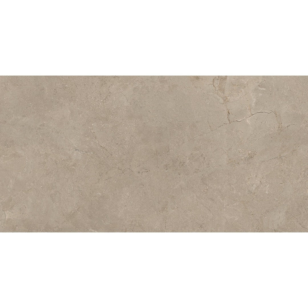 Emser Terramor 12" x 24" Rectified Honed Porcelain Tile