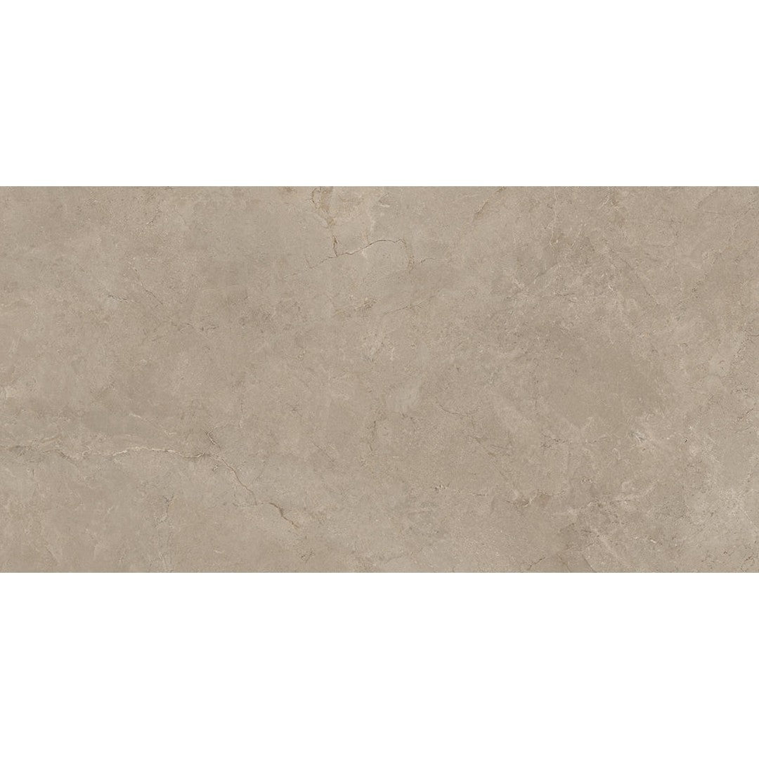 Emser Terramor 24" x 47" Rectified Honed Porcelain Tile