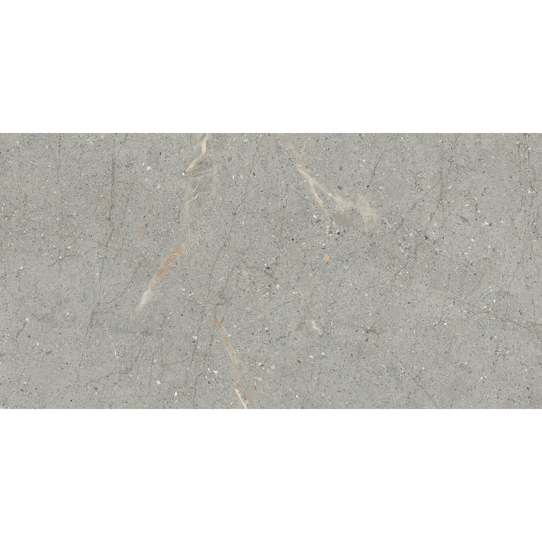 Emser Terramor 12" x 24" Rectified Honed Porcelain Tile