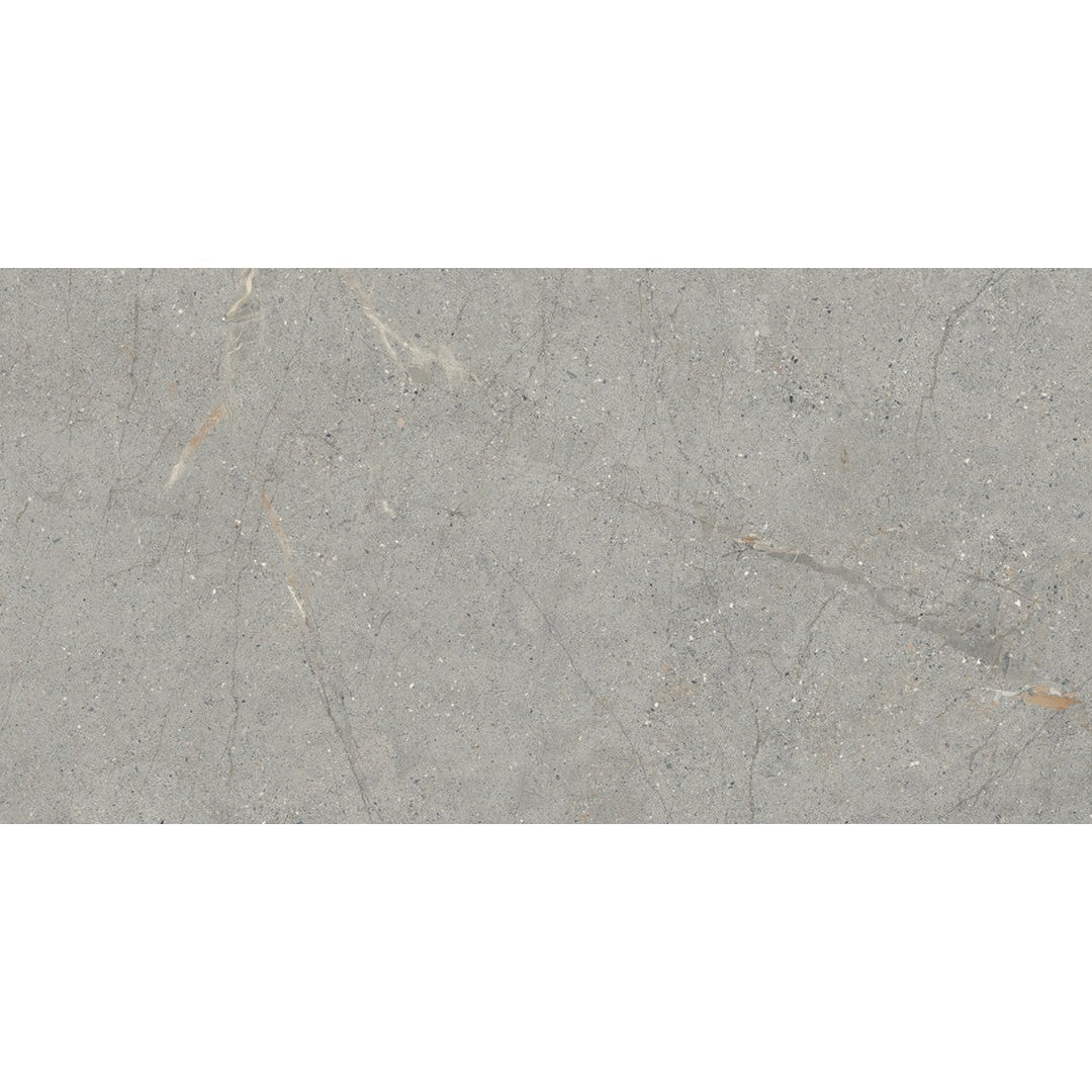 Emser Terramor 24" x 47" Rectified Honed Porcelain Tile