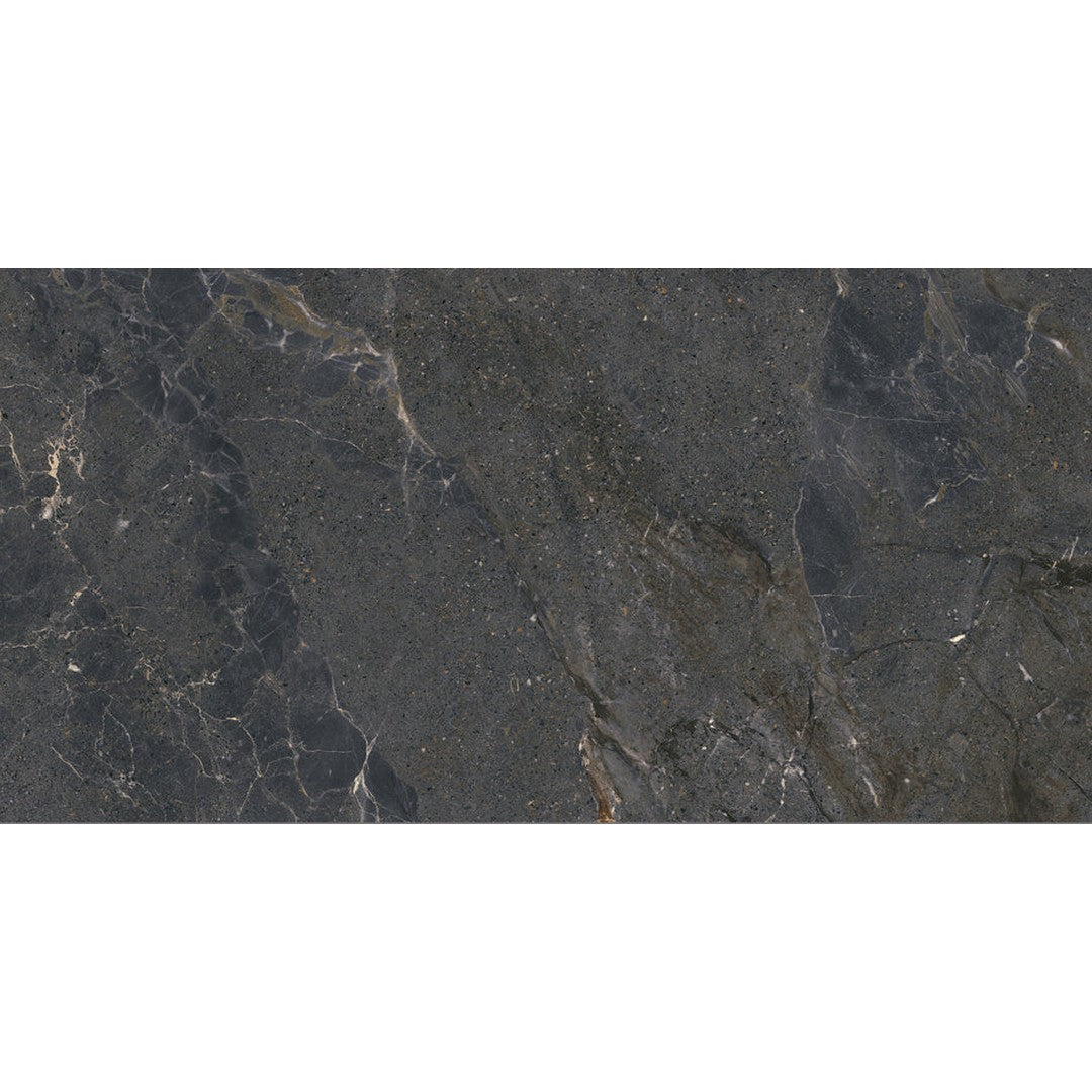 Emser Terramor 24" x 47" Rectified Honed Porcelain Tile