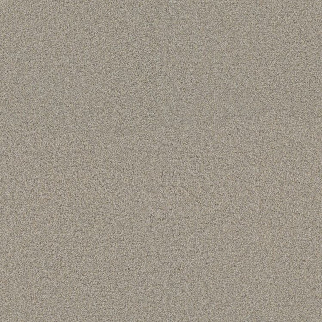 Phenix Floor Ever Suceed 12' Carpet Tile