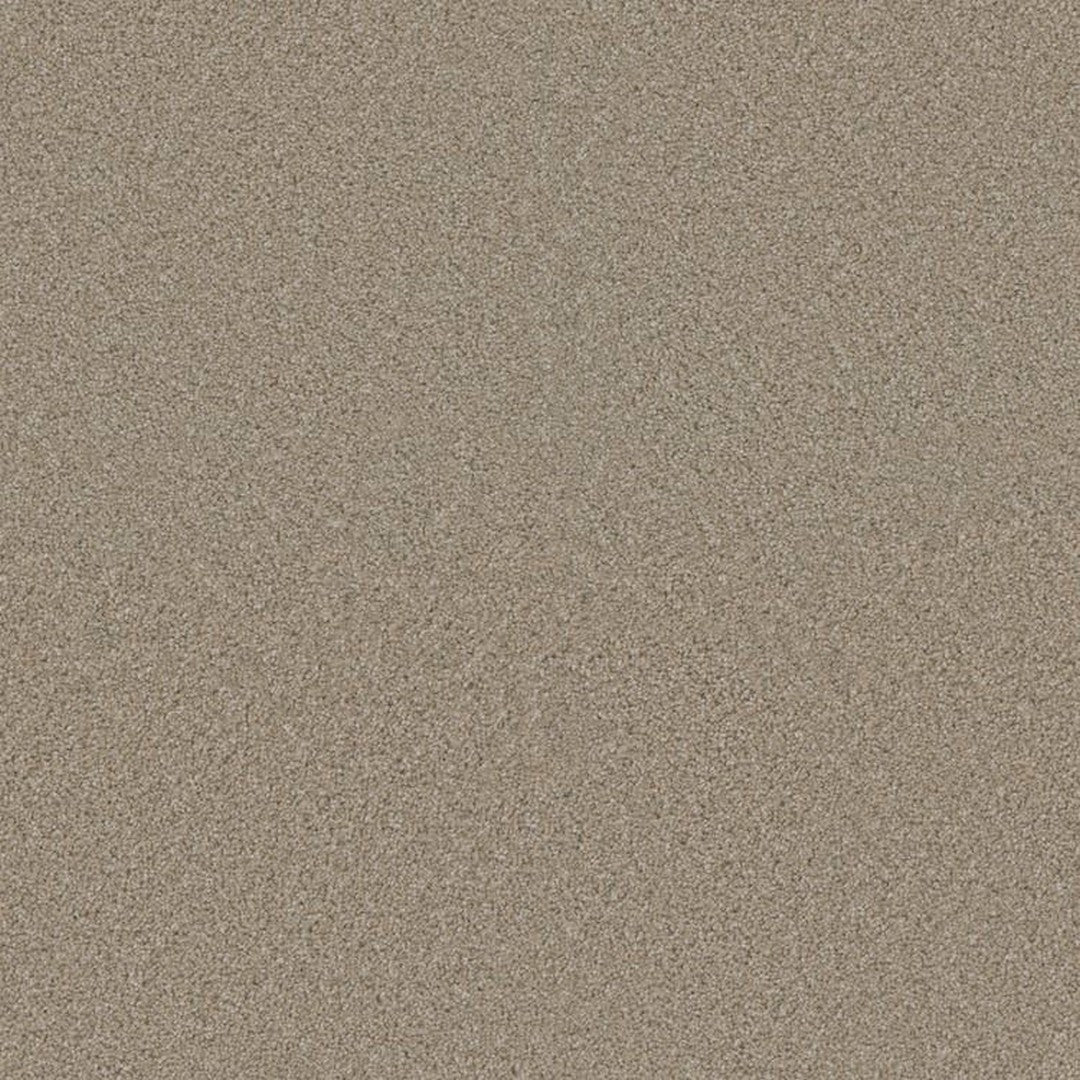 Phenix Floor Ever Suceed 12' Carpet Tile