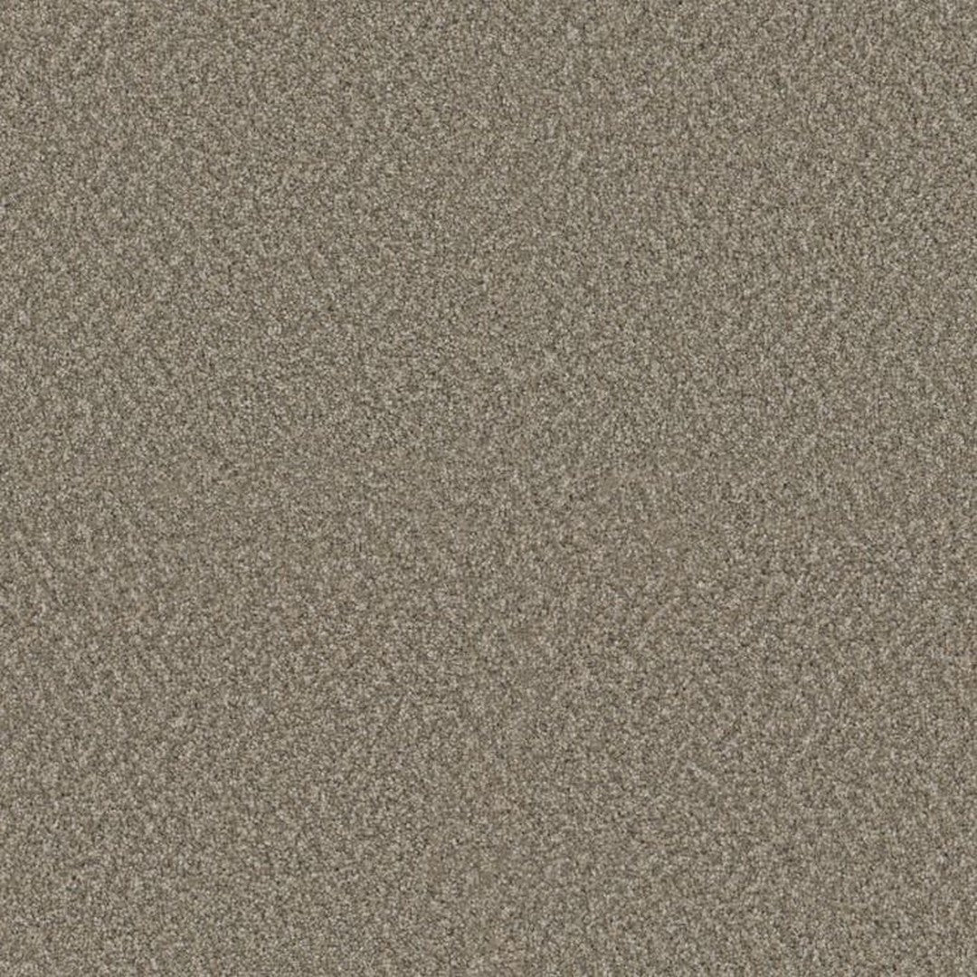 Phenix Floor Ever Suceed 12' Carpet Tile